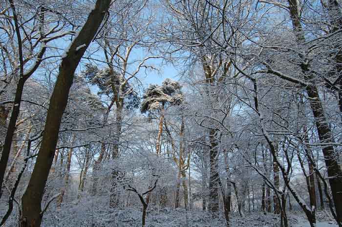 Germany in winter