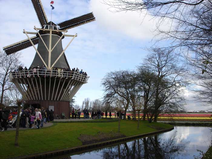 The windmills and canals of Holland